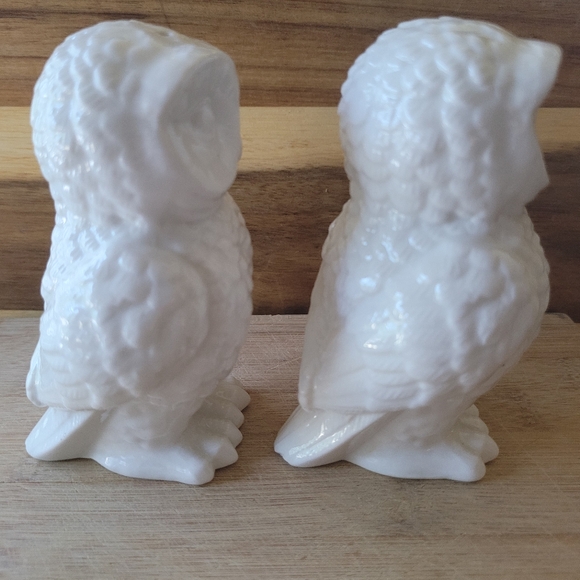 White Ceramic Owl Salt and Pepper Larger Shaker Set - Picture 5 of 8